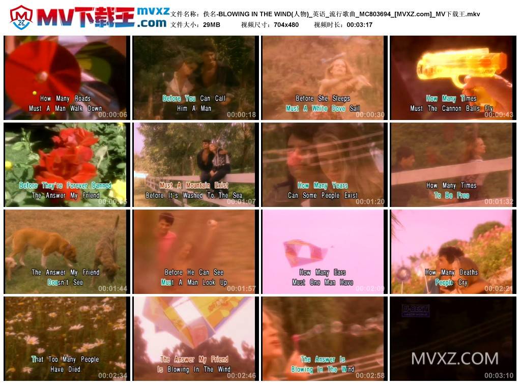 佚名-BLOWING IN THE WIND(人物)_英语_流行歌曲_MC803694